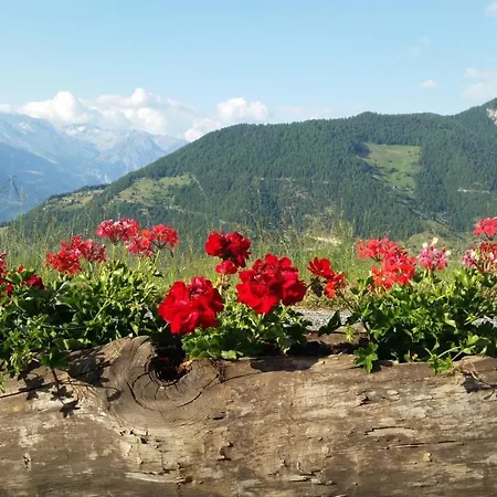 Richemont 124 * 拉茨欧马兹