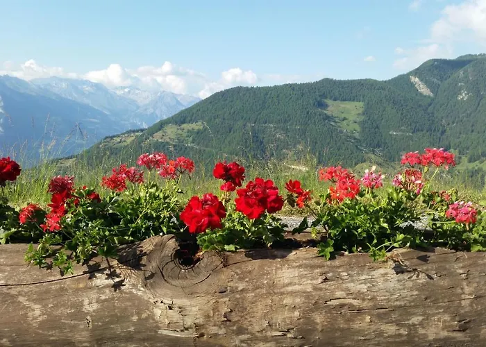 Richemont 124 * La Tzoumaz